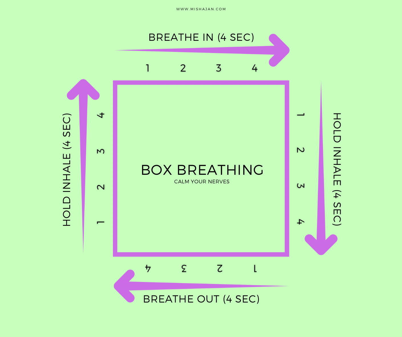 How To Breathe: The End of Anxiety – Misha Jan